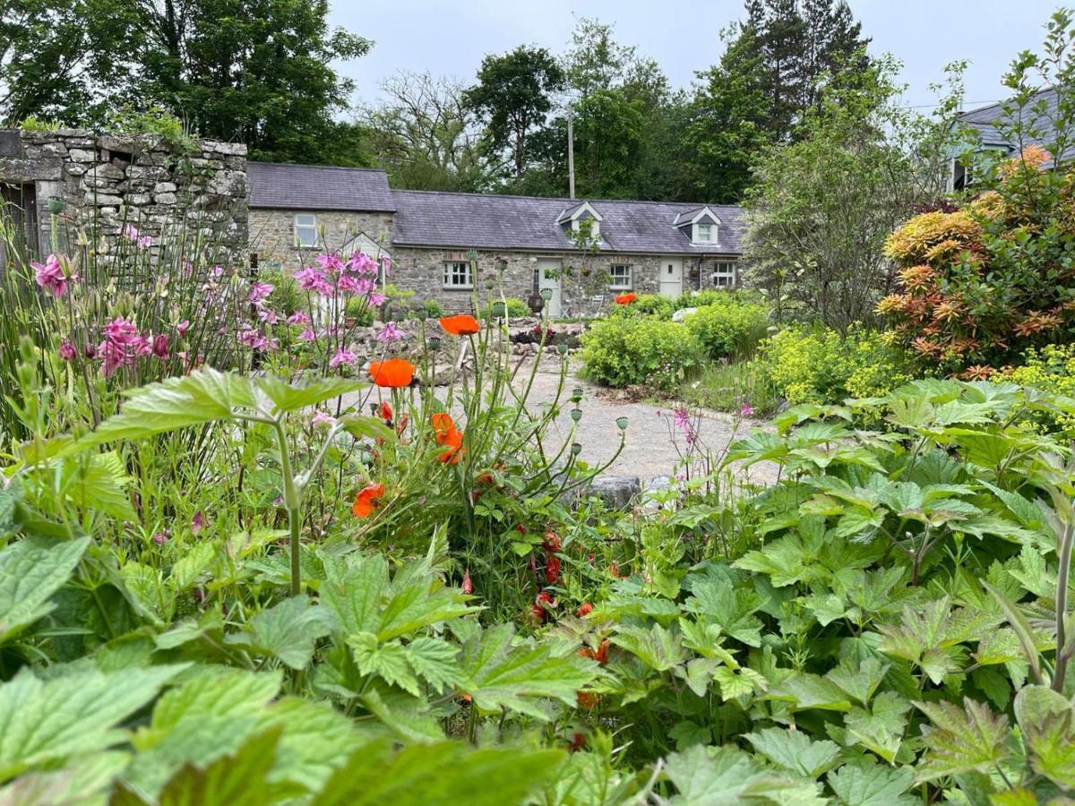 Crug Yr Eryr Isaf Villa Llandysul Luaran gambar